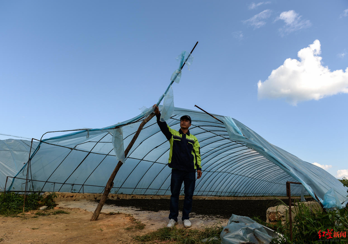 ▲澜沧县发展河乡勐乃新寨至勐乃村公路旁塑料大棚，事发当晚野象对其进行了破坏。