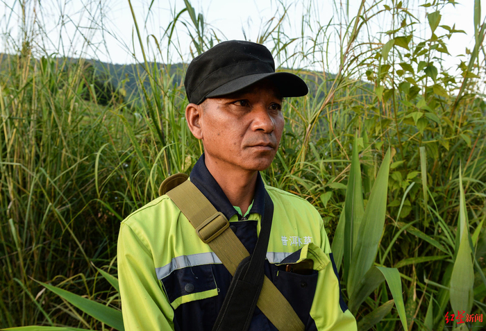  ▲澜沧县发展河乡黑山村亚洲象监测队队长杨所且