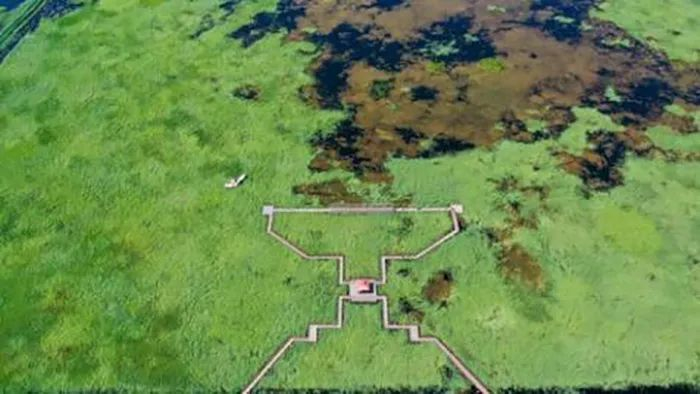 吉林省大安市牛心套保国家湿地公园（7月23日摄，无人机照片）。新华社记者 张楠 摄