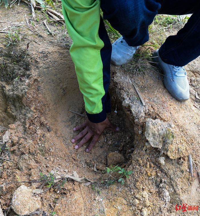  ▲野象留下的脚印。