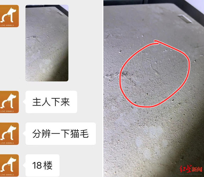 “明察秋毫”。