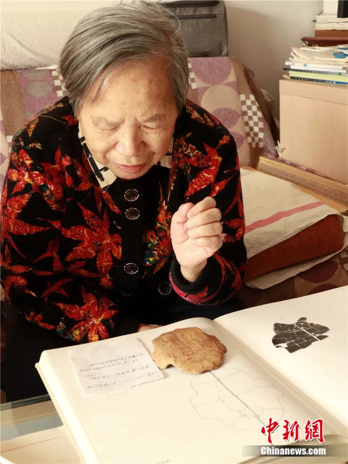 刘一曼用一块卜甲复制品向中新网记者讲述甲骨发掘的细节。李纯 摄