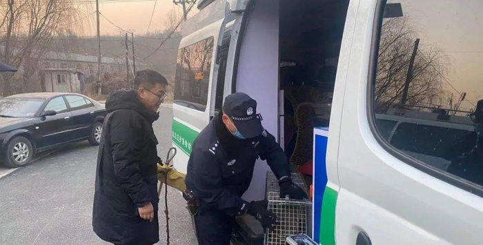 （再野，也逃不过动保人员的五指山）