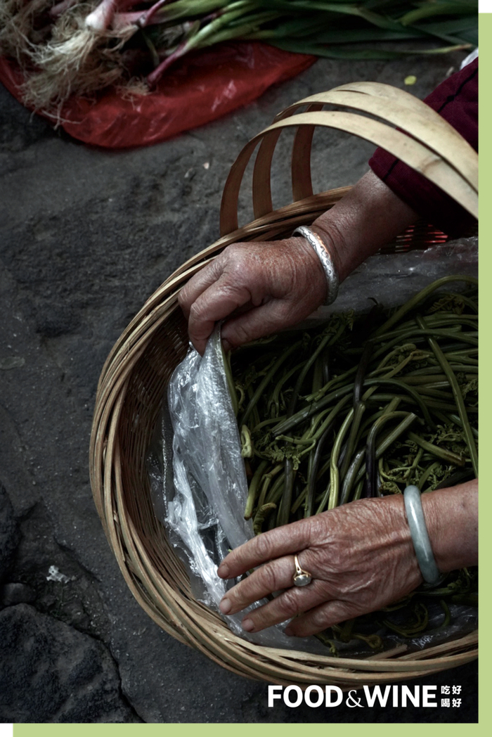 云南菜市场，蕨菜上市了。
