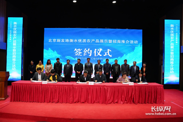 签约仪式环节。长城网记者 张千 摄