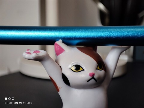 长焦微距镜头拍摄