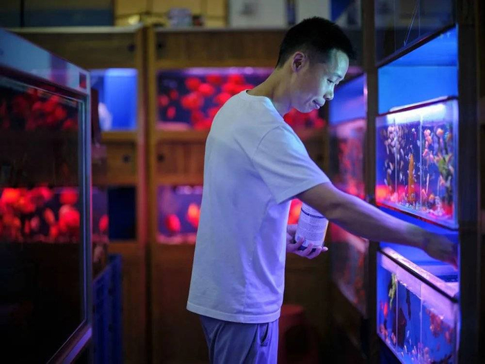 ⚪️“丽湖水族”的老板