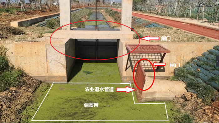 △环湖截污工程中的调蓄带与农业退水管道、入湖河流均通过闸门连通，雨季闸门打开，污水全部通过入湖河流进入杞麓湖