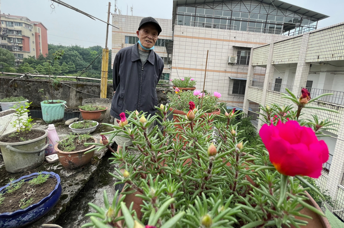 ↑晏利通家楼顶，一朵鲜艳的太阳花
