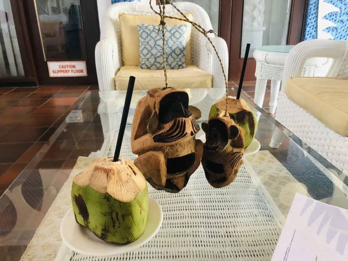 办理退房手续等待的时间，给小猴子和椰子的合影。