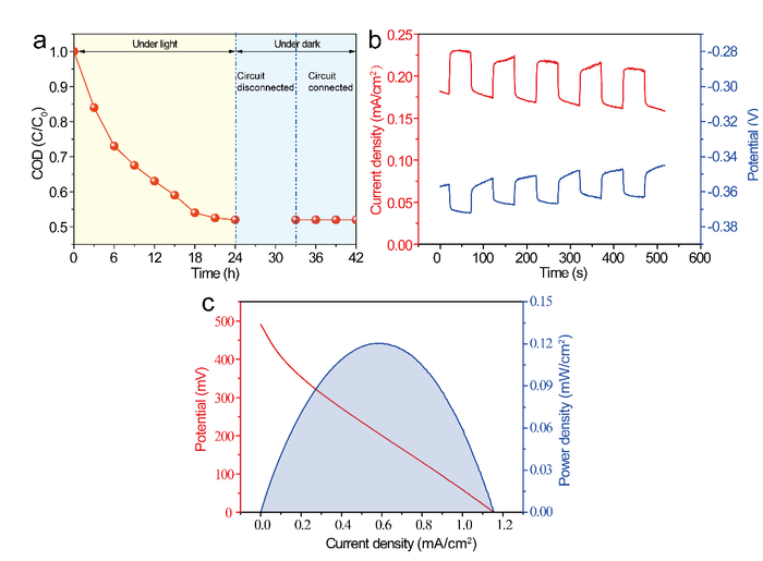 系统的有机物降解、电位相应和功率密度