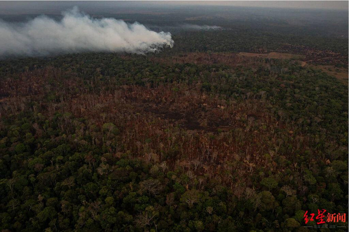 ▲亚马孙雨林被毁林开荒 图据纽约时报