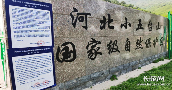 保护区张贴的封山、禁采公告。河北小五台山国家级自然保护区 供图