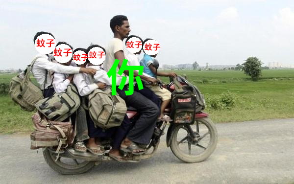 图片来源：网络