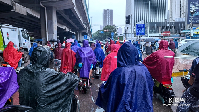 河北降雨。长城网记者 闫思宇 摄