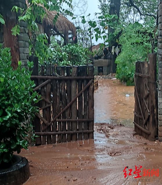 ↑王先生的小院被山洪卷袭。
