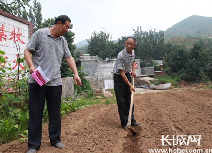 河北赞皇，排涝改种让农田恢复绿色。资料图
