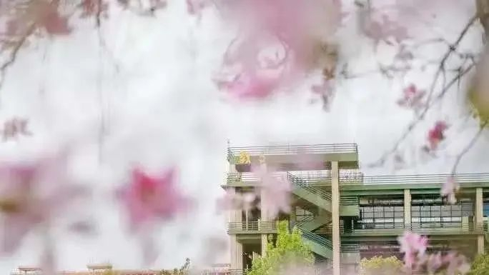 图 | 广东工业大学大学城校区