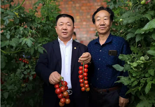 吉额翎集团于海群董事长与包头农科院尚春明教授