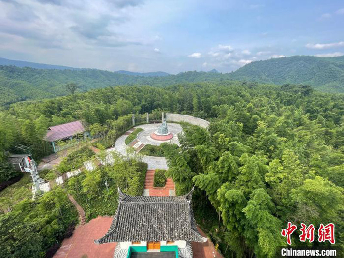 赤水竹海国家森林公园的翠绿竹林。刘文文摄