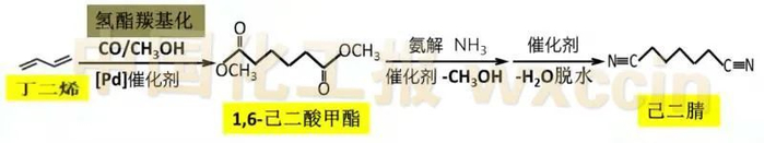 丁二烯氢酯羰基化制己二腈过程示意图