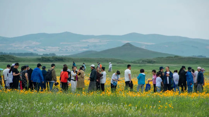 游人步行在木栈道上，欣赏元上都遗址内的金莲花海。管永新 摄