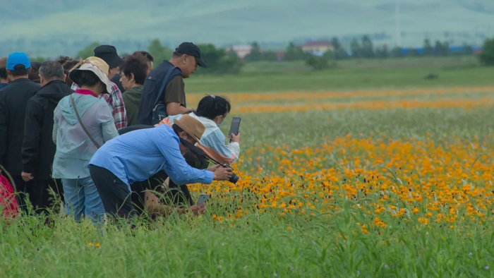 游客们开启“追星”模式，踊跃拍花。管永新 摄
