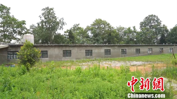 图为李先义养蚕基地的蚕房。蒲文思 摄