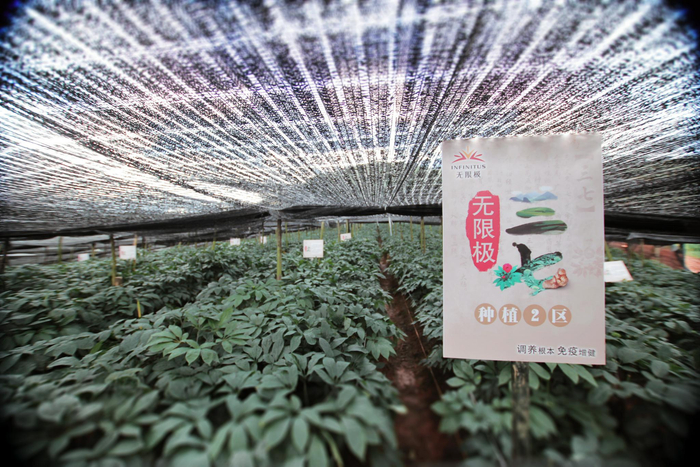 资料图 来源：无限极