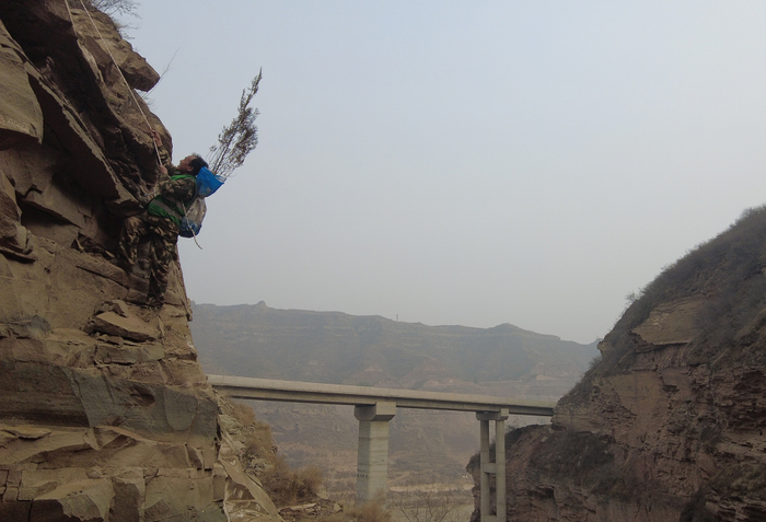 图片来源：当地政府供图