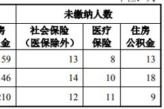 星辉环材关联方拆借与公开信息存矛盾，销售数据与客户方不符