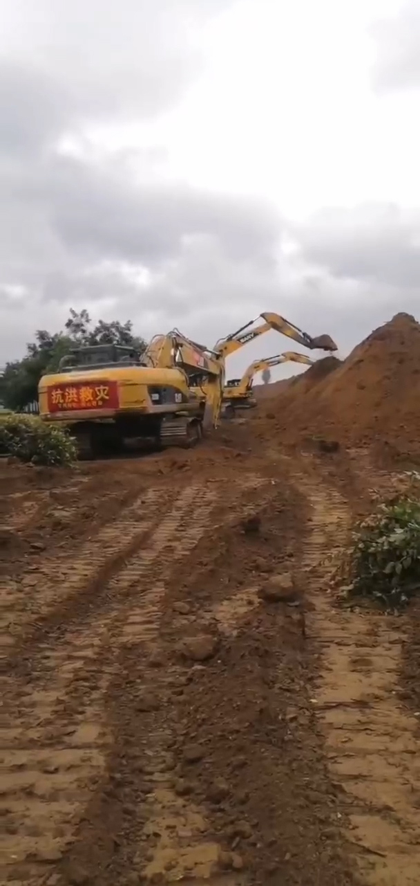 图：善堂镇巩固河堤日夜不停