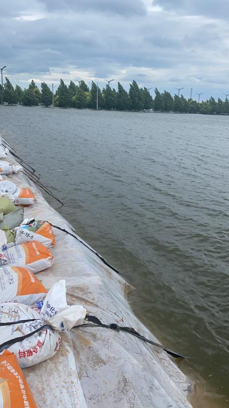 图：已经看不到头的玉米地&nbsp;