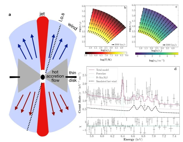 图a为黑洞周围热吸积流产生风（浅蓝色区域）的示意图