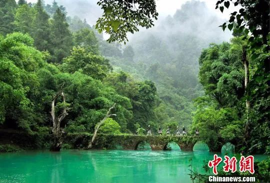 图为荔波小七孔。黔南州委宣传部供图