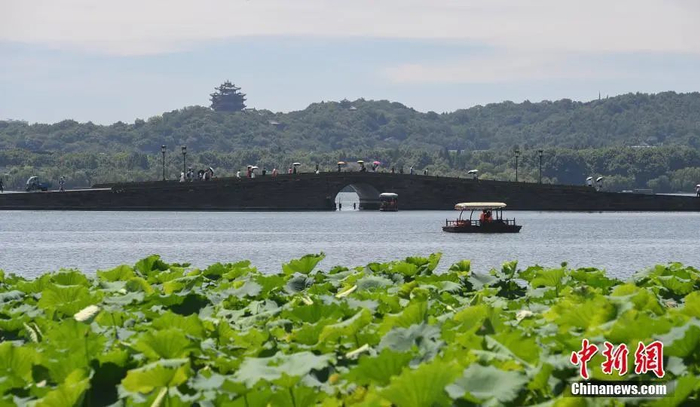 资料图：杭州西湖。中新社记者 王刚 摄