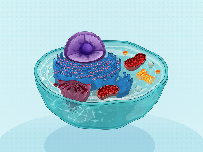 图片来源：Maria Rigon