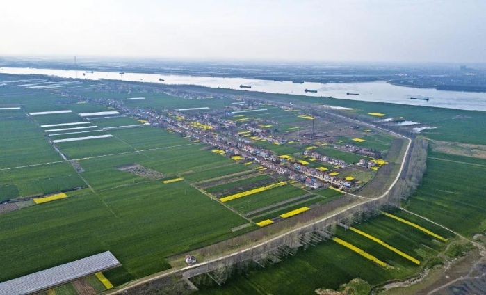 　　▲荆江大堤  摄影：李风