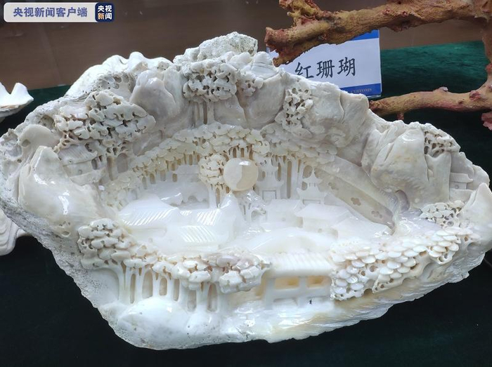 △广州海关查获的砗磲制品