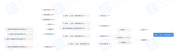 胖豆（上海）贸易有限公司股东关系图 图源：企查查