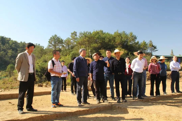 国家文物局副局长宋新潮（左三）视察下草埔遗址发掘现场（何康拍摄）