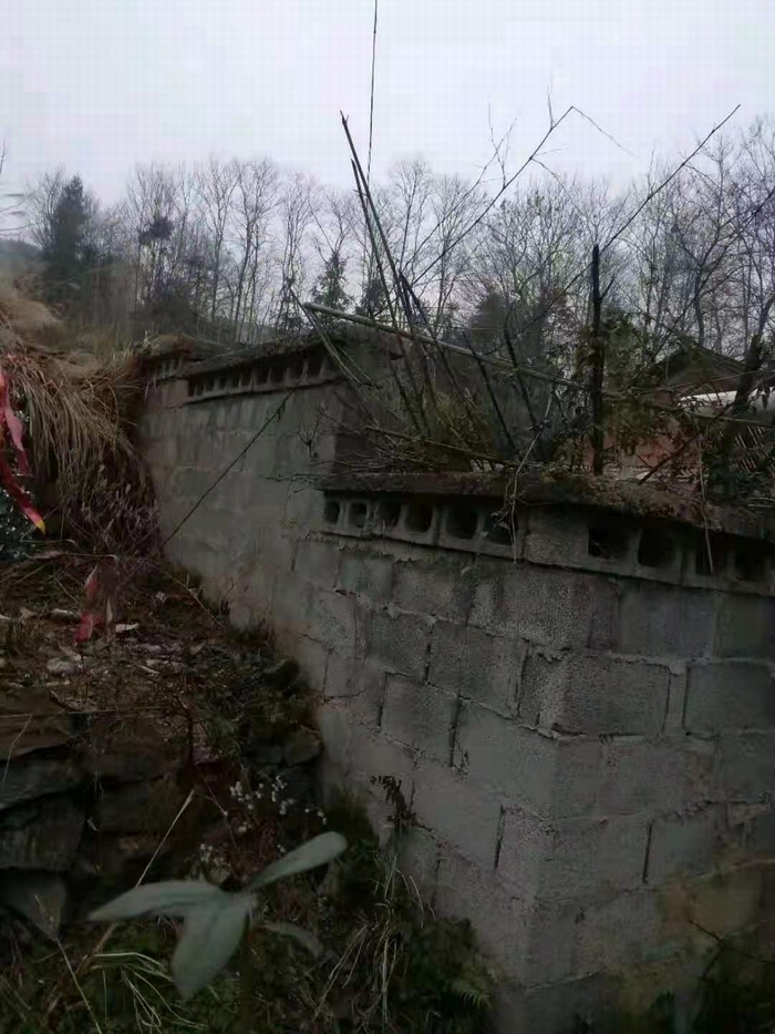 张西卓一家在张国恒坟旁修建的围墙，现已被推倒。受访者供图