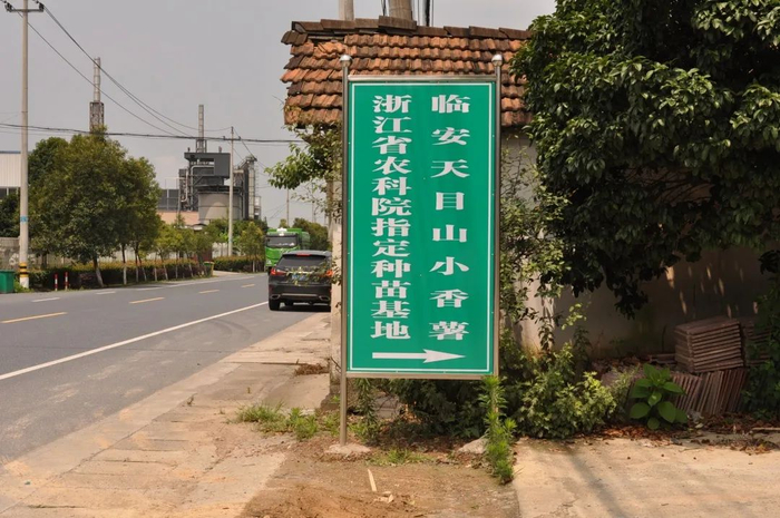 （▲浙江省农科院指定种苗基地）