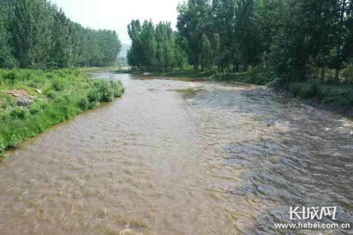 　安格庄水库下游河道。河北省水利厅 供图 