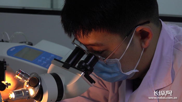 以岭药业入选河北首批科技领军企业。图为该企业工作人员在进行研发。长城网记者 李代姣 摄