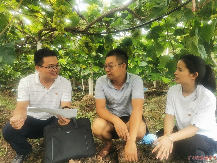 武篆镇纪委工作人员向葡萄基地负责人了解产业政策落实情况。