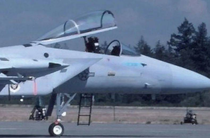 镀ITO 膜的F-15A 76-0111战斗机