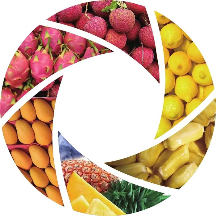 海南一年四季都有不同水果上市。资料图