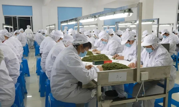 ▲经历层层工艺