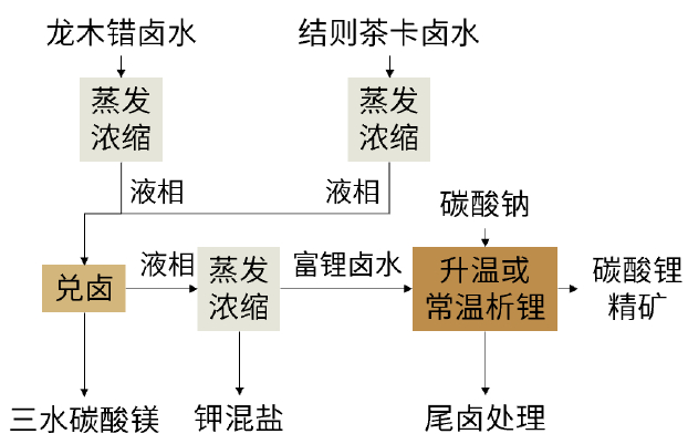 资料来源：西藏矿业公告、中金公司研究部